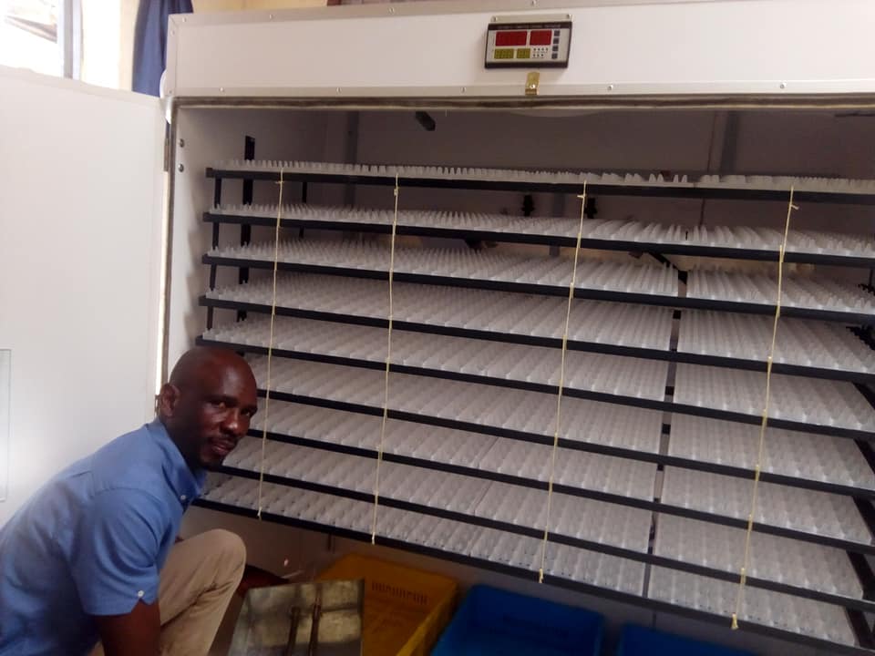 Buy Egg incubators in Kisii Kenya