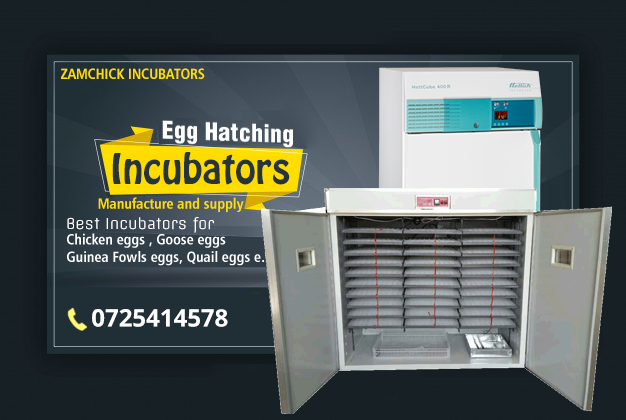 best incubator supplier in kenya buy incubators in nairobi kenya