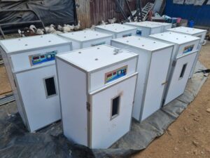 Buy Egg incubators in Nyeri Kenya