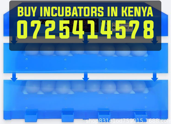 buy incubators in kenya nairobi kiambu